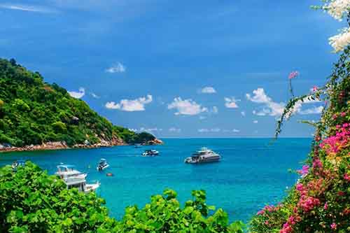 【雲頂夢號】麻六甲(吉隆坡)4日 (郵輪自由行)